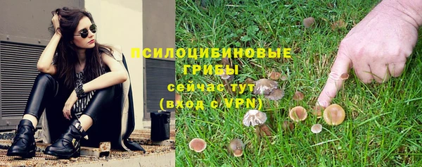 таблы Болхов