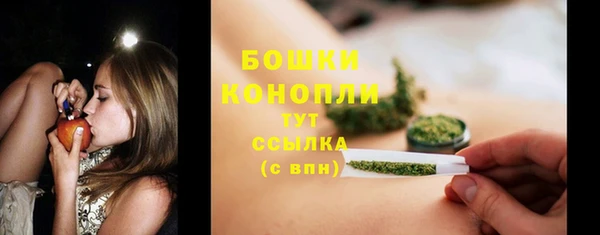 соль ск Болотное