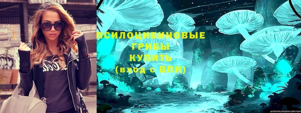 ГАЛЛЮЦИНОГЕННЫЕ ГРИБЫ Бронницы