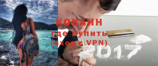 мдпв Бородино