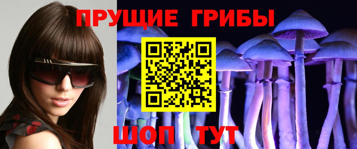Псилоцибиновые грибы прущие грибы Воркута