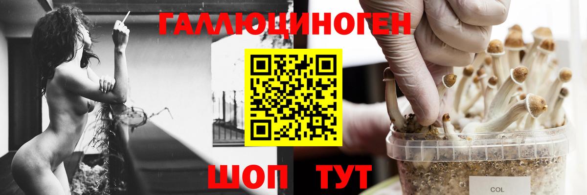 Псилоцибиновые грибы прущие грибы  Вход с VPN  Воркута 