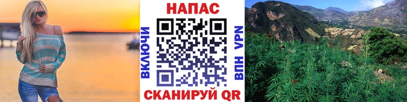 Шишки марихуана семена  Воркута 